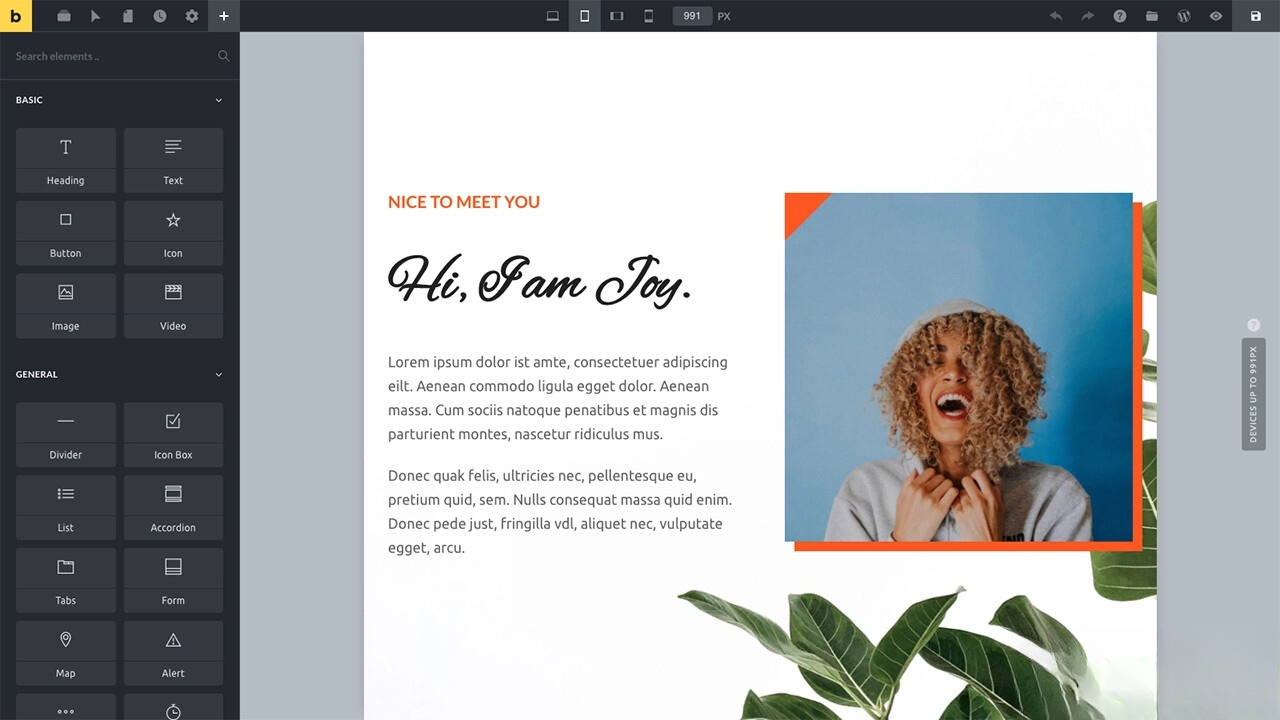 A3224WordPress主题Bricks v1.9 破解版-柠檬源码网